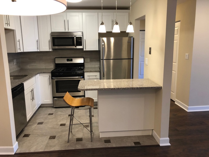 3531 Central Rd unit 201, Glenview, IL 60025 - photo 1