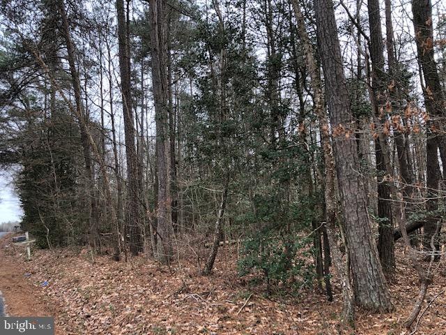 Balty Rd BALTY Balty Rd, Mattaponi, VA 22546 - photo 1