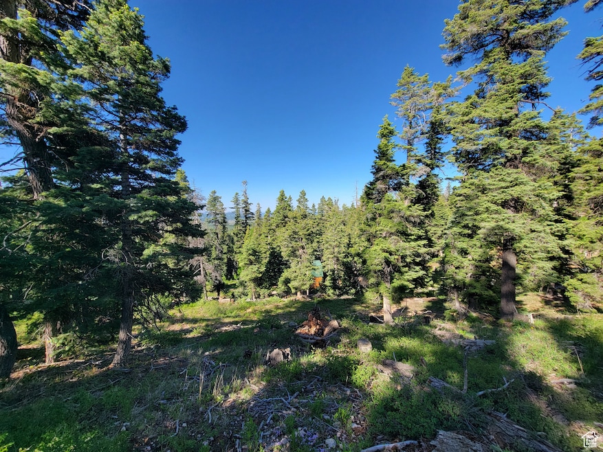 6220 W Brook Ln, Duck Creek, UT 84762 - photo 1