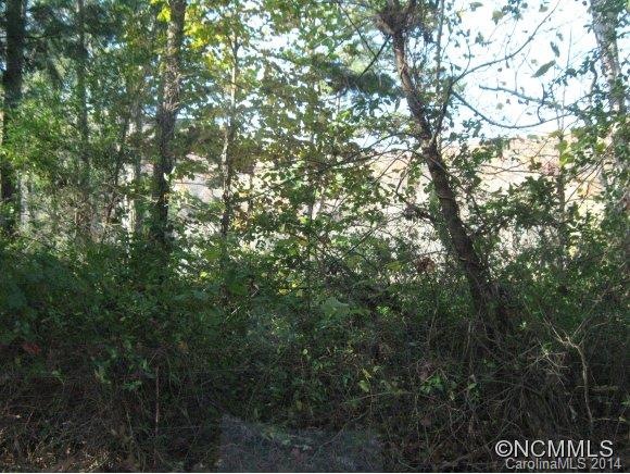 0 Propst Rd (Off) unit NCM560891, Asheville, NC 28715 - photo 1