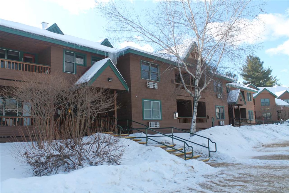 164 Deer Park Dr unit 166D, Woodstock, NH 03262 - photo 1