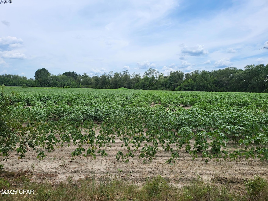 000 Joiner Rd, Chipley, FL 32428 - photo 1