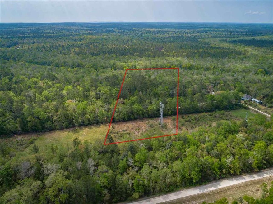 lot 3 Rio Paz Trace, Crawfordville, FL 32327 - photo 1