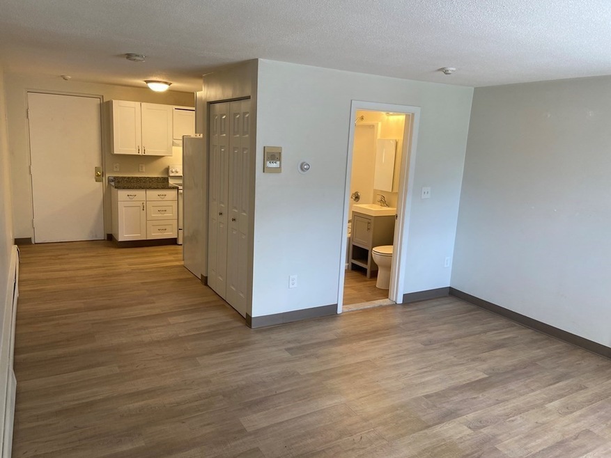 24 Hamilton St unit 12, Saugus, MA 01906 - photo 1