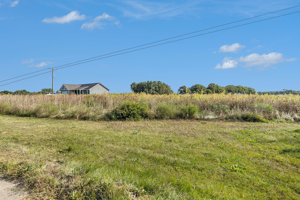 0 Schad Rd unit 24048893, Thornapple Township, MI 49333 - photo 1