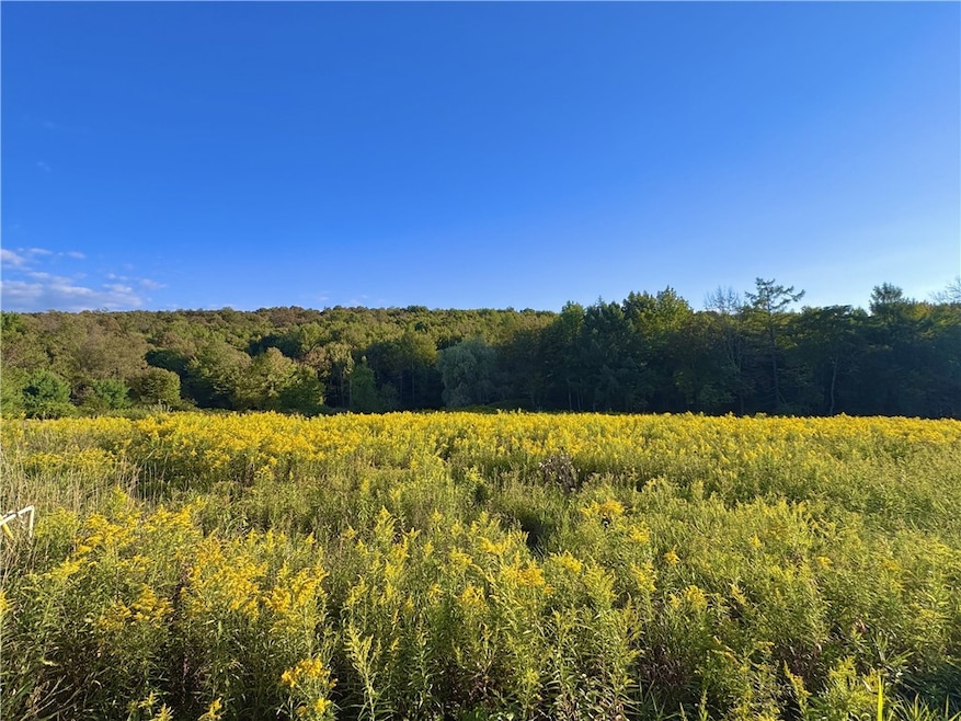 0 Campbell Rd, Franklin, NY 13775 - photo 1