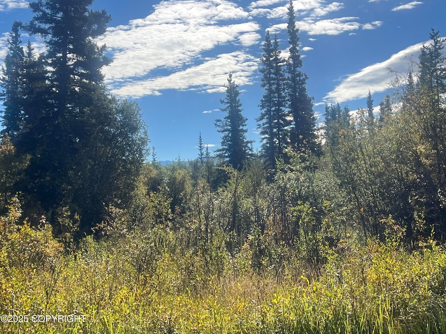 L 7&8 B9 Kenny Lake Village, Chitina, AK 99573 - photo 1