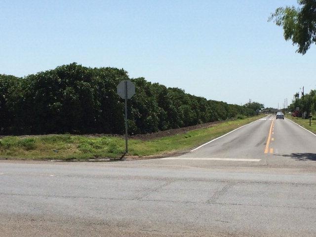 NN N Val Verde Rd, Donna, TX 78537 - photo 1