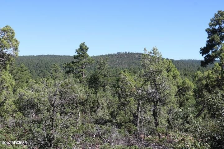 3260 Snowberry Loop