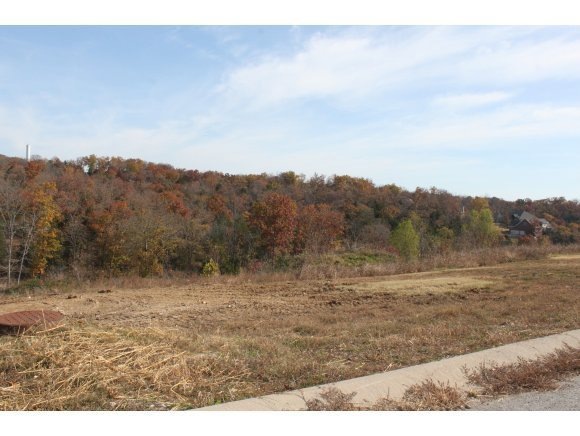 112 Thunder Ridge Ct, Branson, MO 65616 - photo 1