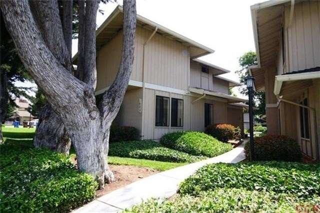 Walkway to the front door.
