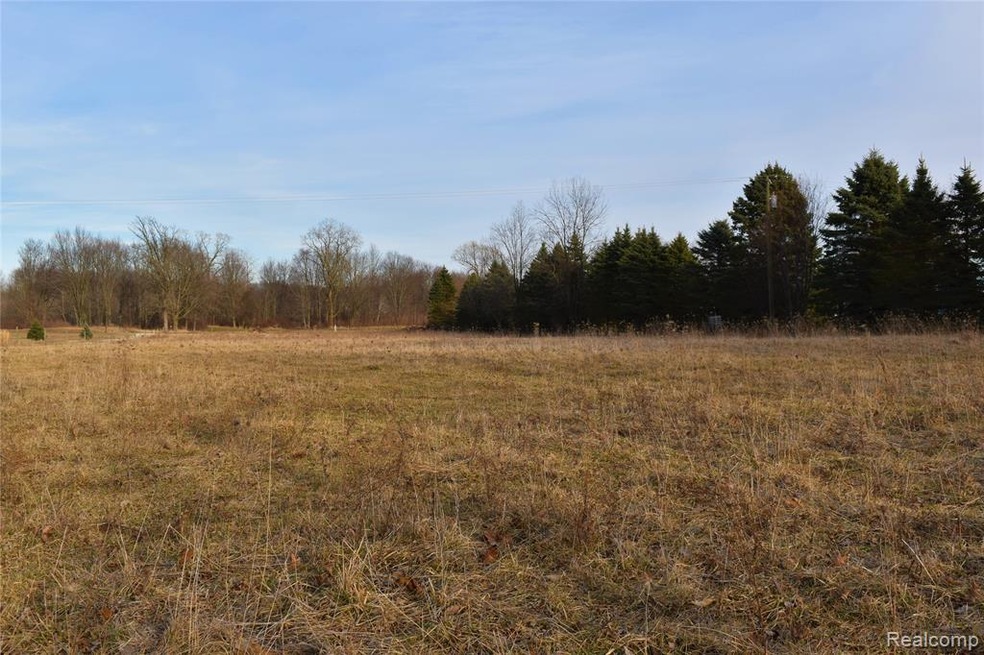 View of Property from the Rear toward the Road