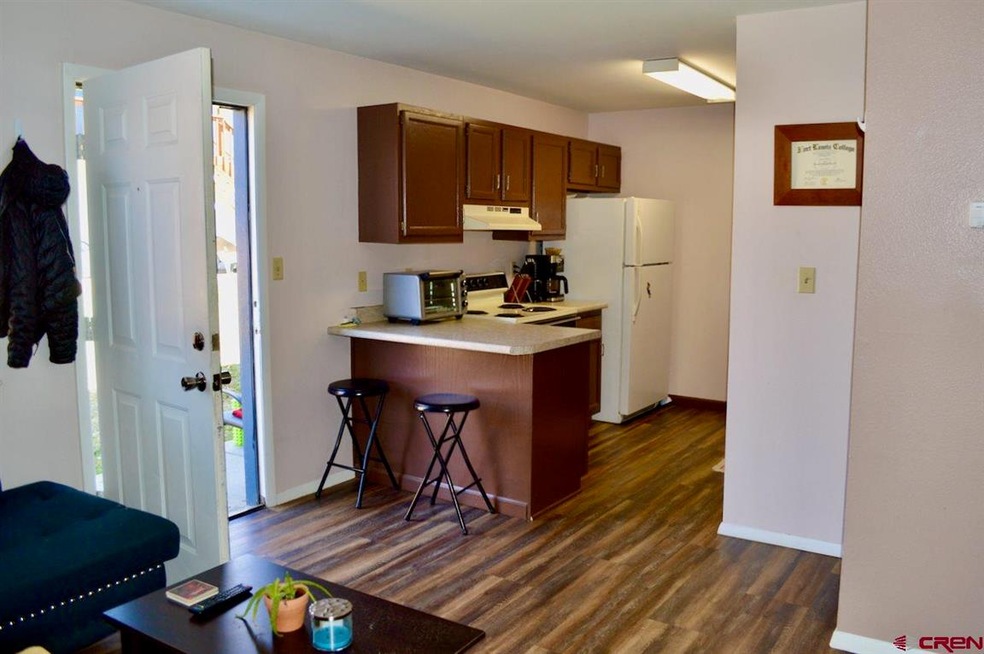 343 E 8th Ave unit 4, Durango, CO 81301 - photo 1