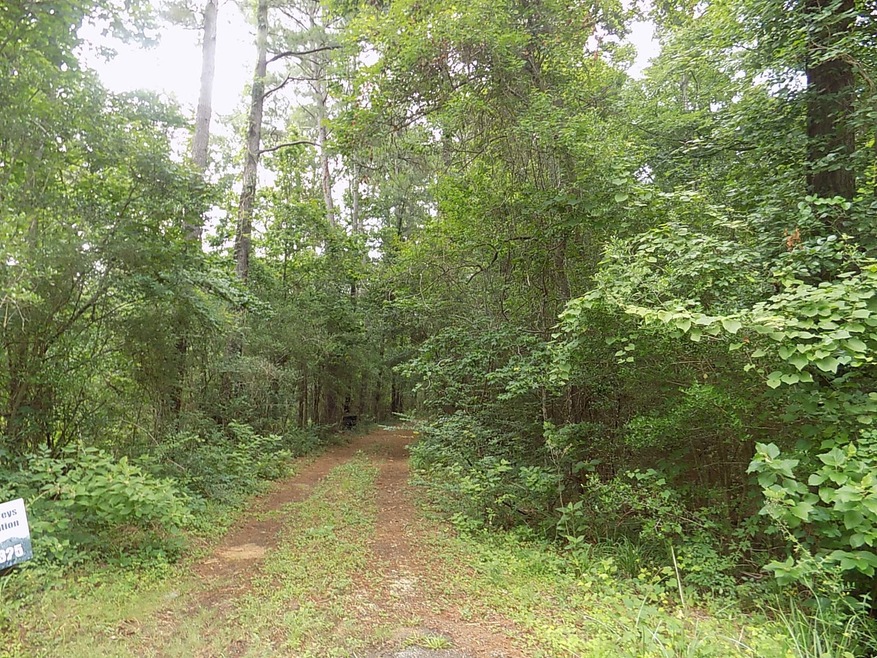 This is where the property begins and runs south  306    Feet from there on road frontage.