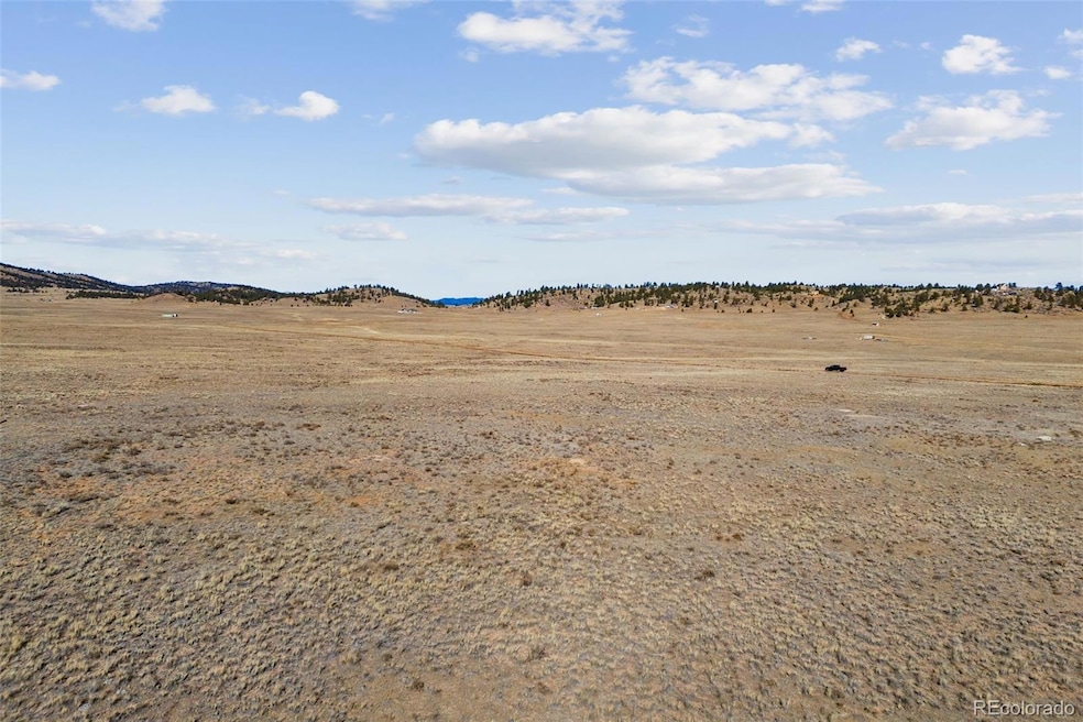 976 S Margaret Place, Hartsel, CO 80449 - photo 1