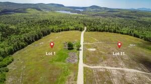 MAP13LOT1 Martins Ridge Road