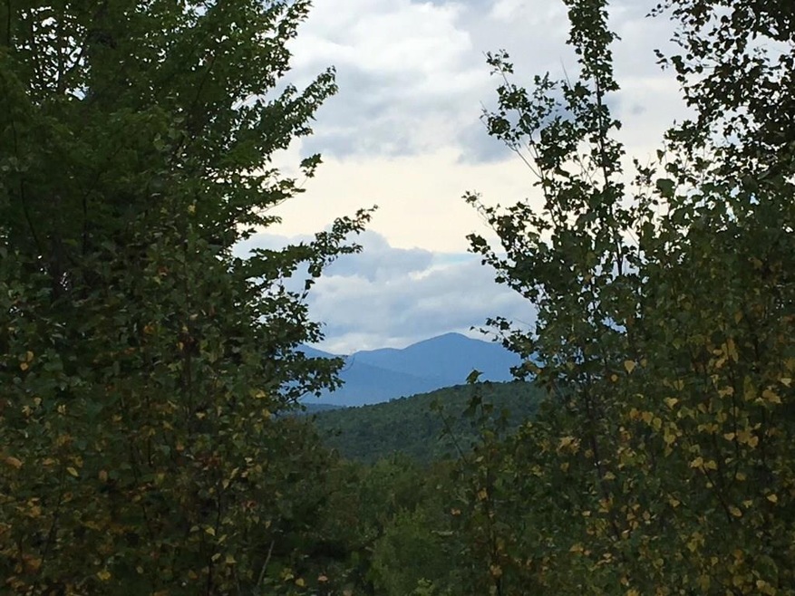 A bit more clearing at the pinnacle...