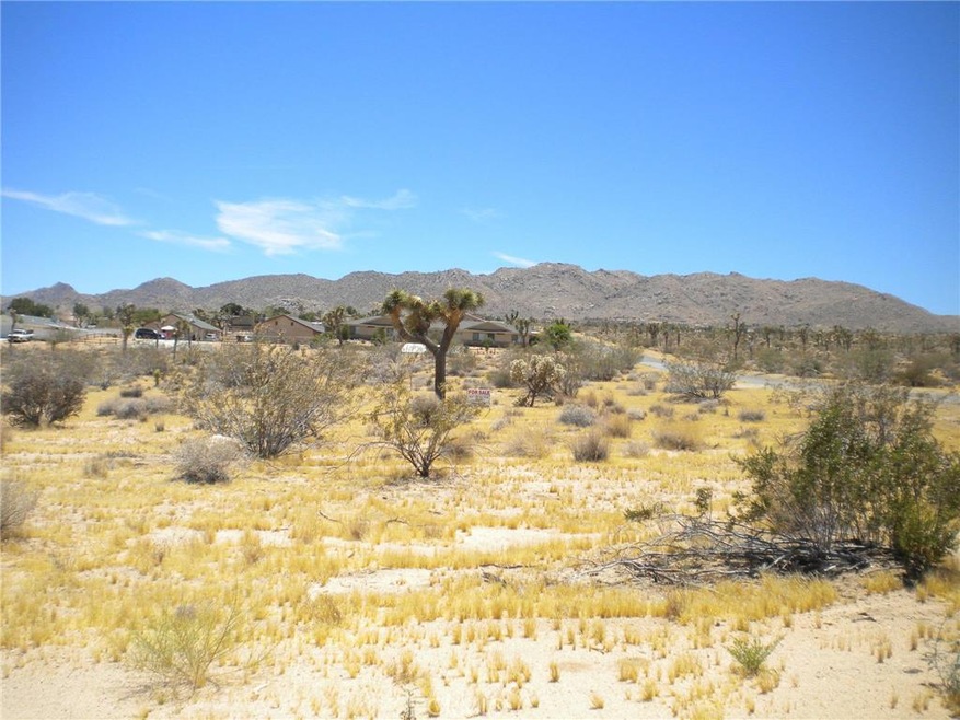 0 Twentynine Palms Hwy unit JT16131569, Joshua Tree, CA 92252 - photo 1
