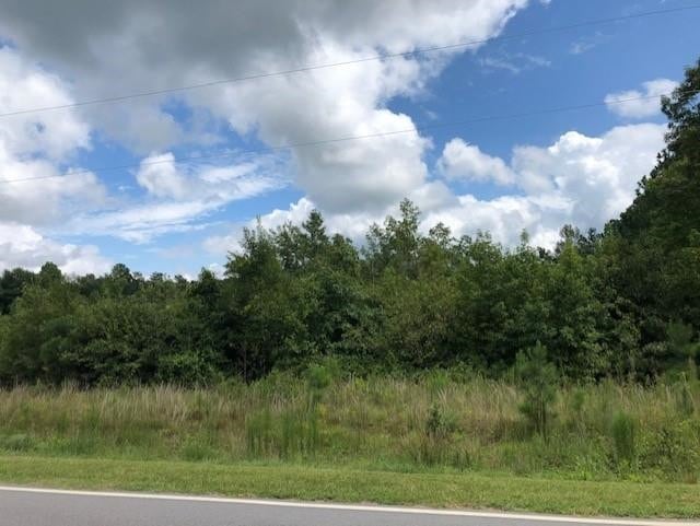 6.042 Acre Brewer Rd, Louisburg, NC 27549 - photo 1