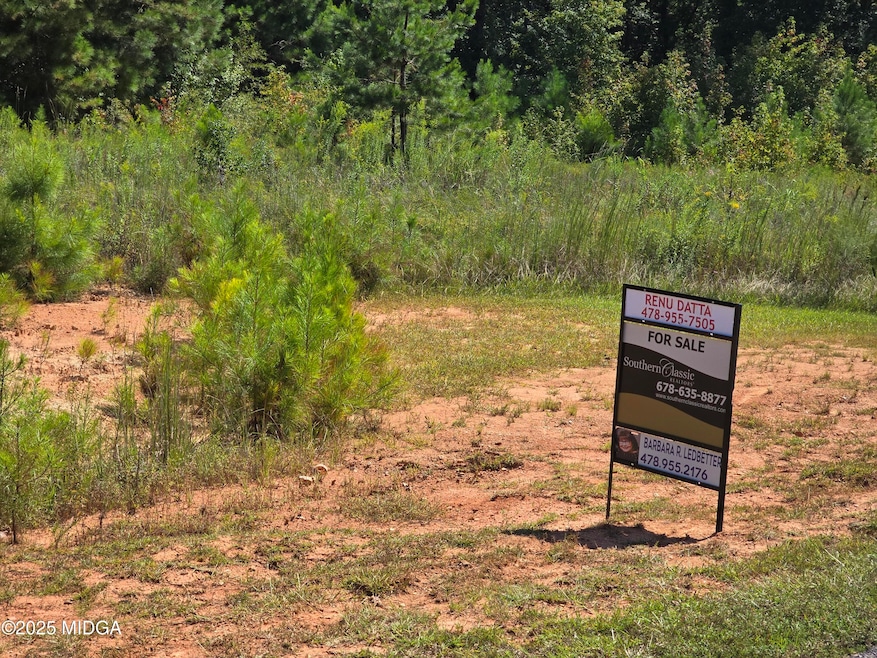 104 Peninsula Ave, Macon, GA 31220 - photo 1