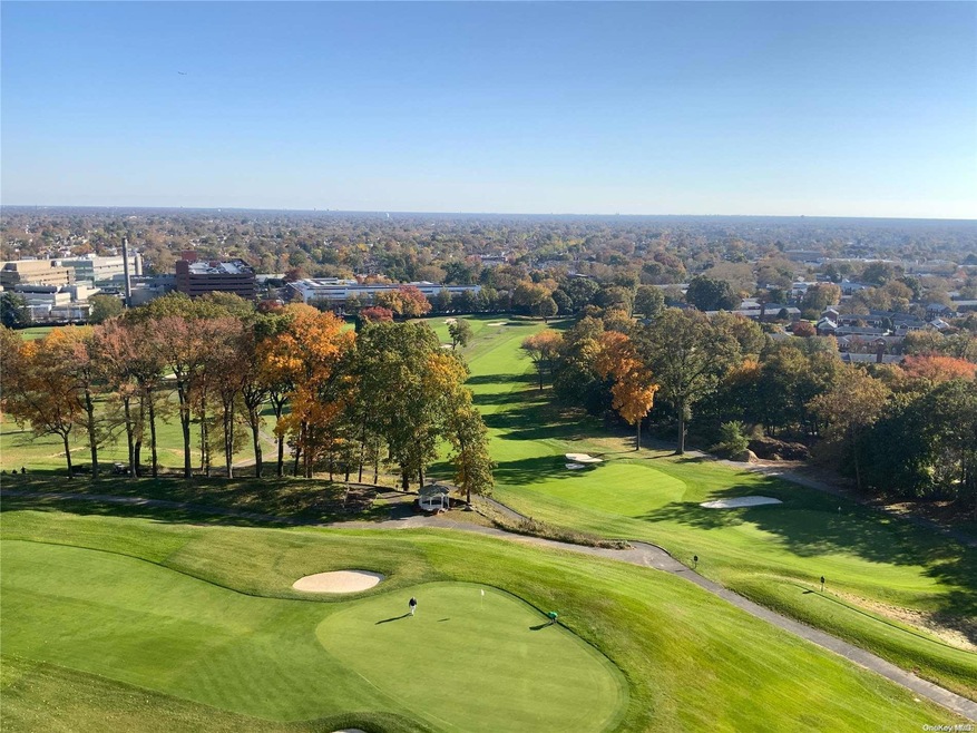 North Shore Towers unit 12W, Floral Park, NY 11005 - photo 1