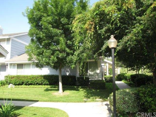 Beautiful shade trees around this condo