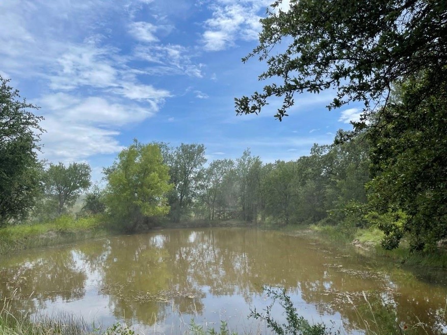 TBD County Road 105, Brownwood, TX 76801 - photo 1