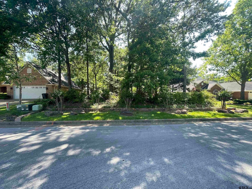 4209 Fillbrook Ln, Tyler, TX 75707 - photo 1