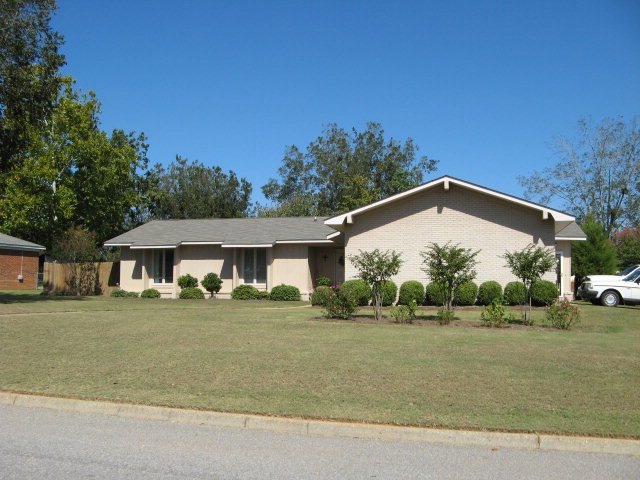 Main View