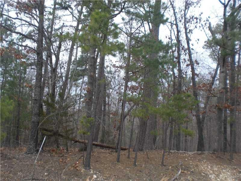 0 Haverigg Ln, Bella Vista, AR 72714 - photo 1