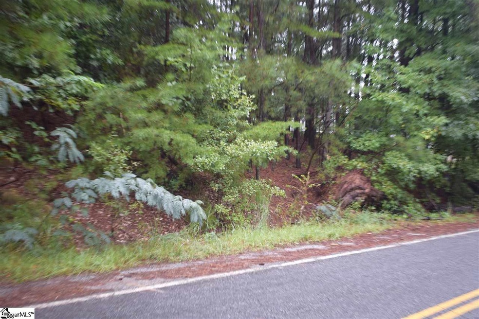 141 Dove Hill Rd, Moore, SC 29369 - photo 1