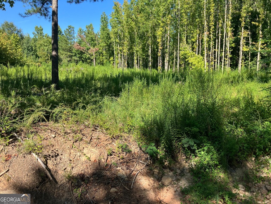 0 Highway 100 unit 10401396, Greenville, GA 30222 - photo 1