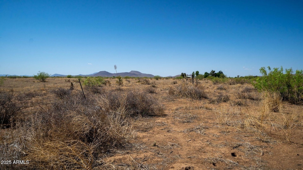 2 lots in Cochise, AZ 1