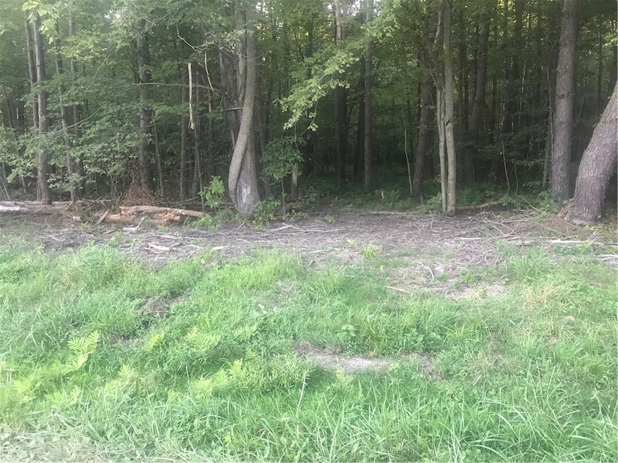 0 Gibson Hill Rd, Edinboro, PA 16412 - photo 1