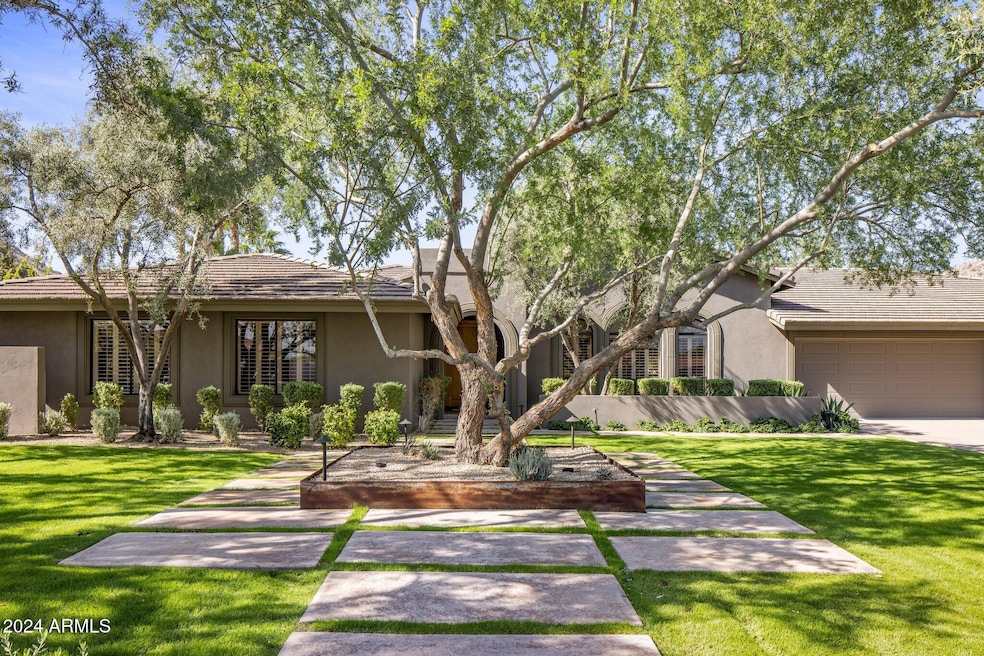 35-web-or-mls-D46A9614