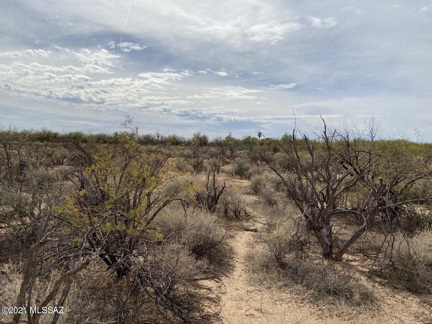 Pic 13875 W Dally Road