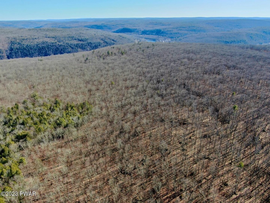 0 Mountain Top Rd, Lackawaxen, PA 18435 - photo 1