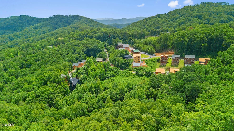 Lot 44 Pine Peak Way, Pigeon Forge, TN 37862 - photo 1