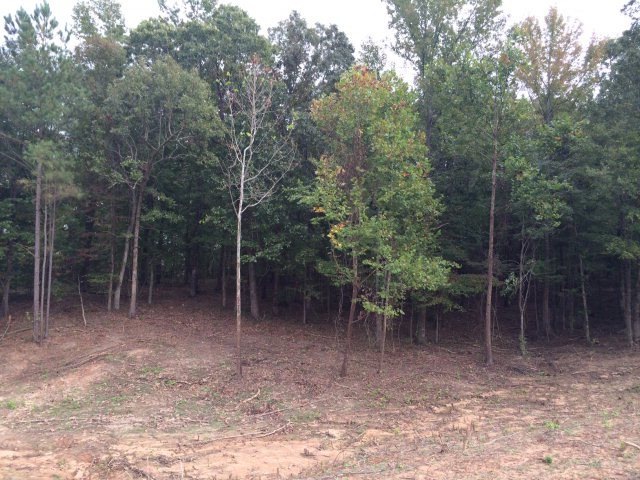 157 Fox Trail Run, Oxford, MS 38655 - photo 1