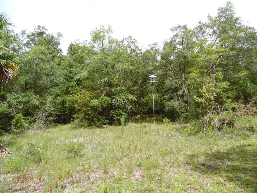 0 Hoot Owl Hollow unit 309105, Crawfordville, FL 32327 - photo 1