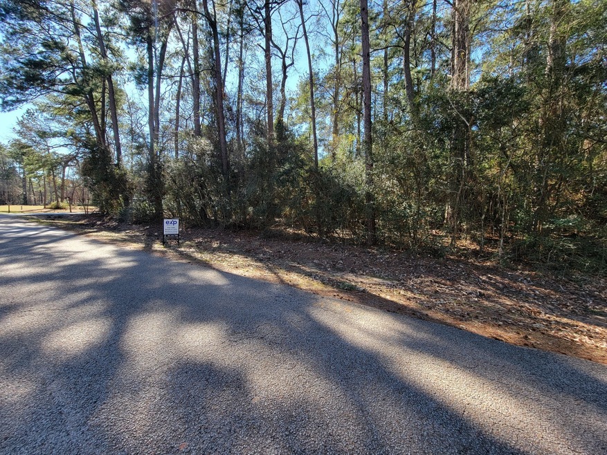 31011 Sugar Bend Dr, Magnolia, TX 77355 - photo 1