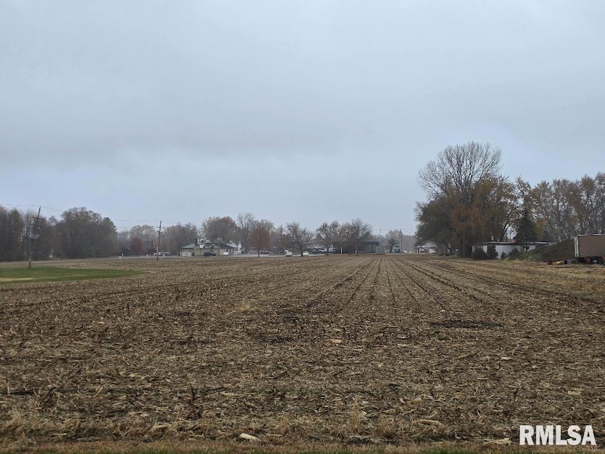 1600 E Walnut St, Canton, IL 61520 - photo 1