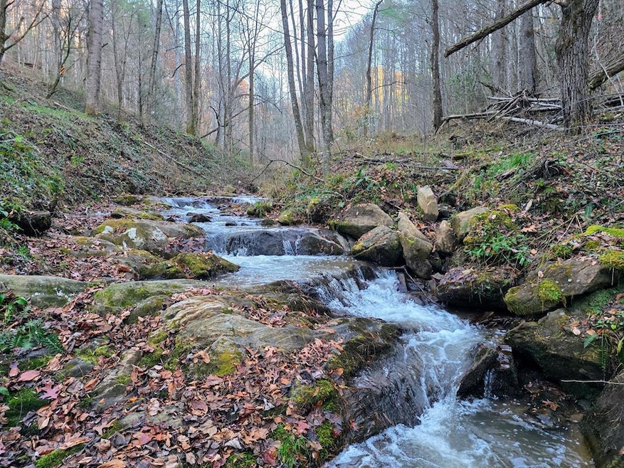 3192 Pumpkintown Rd, Sylva, NC 28779 - photo 1