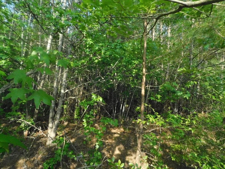 0 Parton Dr unit 469149, Lincolnton, GA 30817 - photo 1