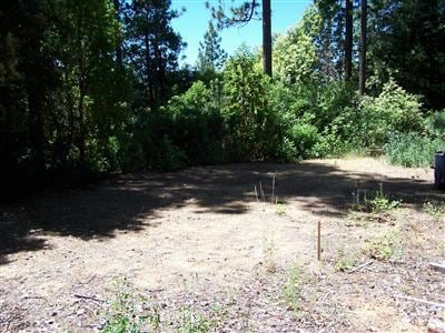 0 Oro Quincy Hwy unit 225141537, Berry Creek, CA 95916 - photo 1