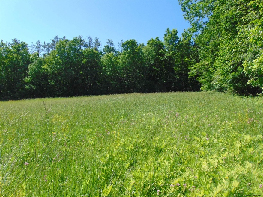 0 Crane St unit 202020020, Charlton, NY 12302 - photo 1