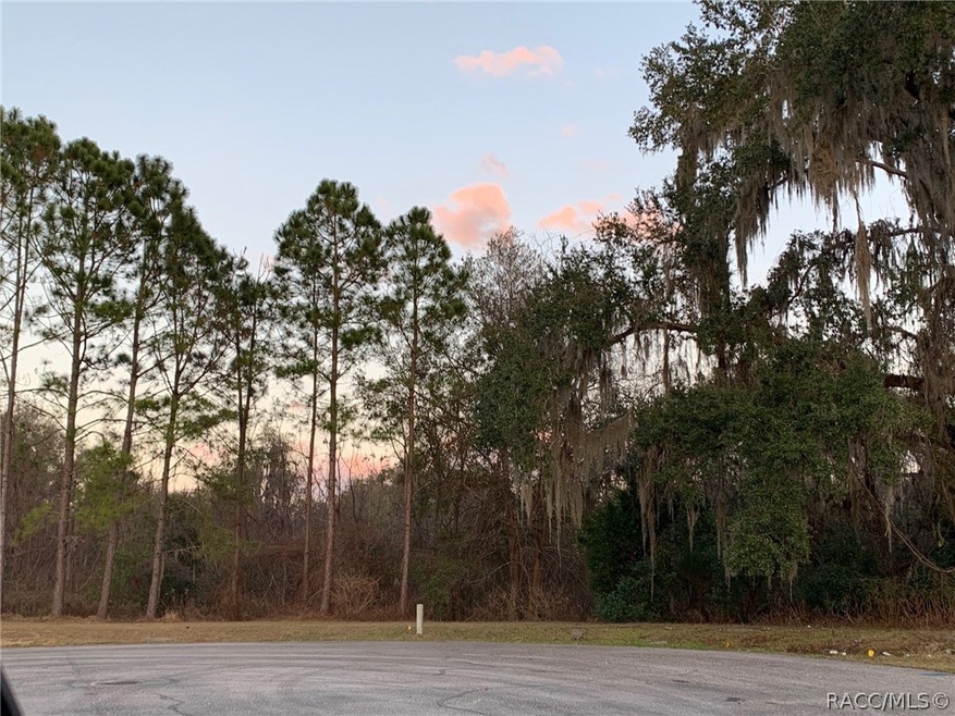 2615 E Margate Ct, Hernando, FL 34442 - photo 1