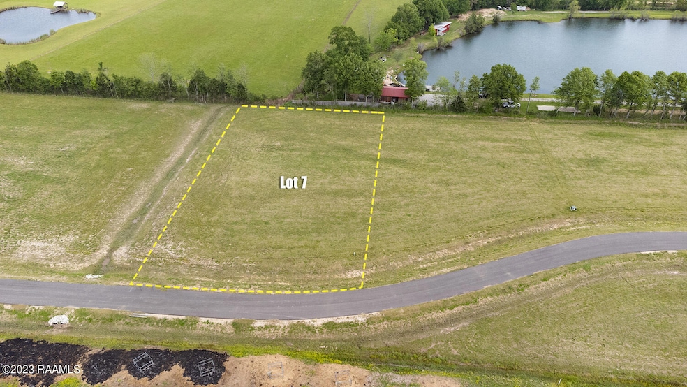 Doc Guidry-Lot7