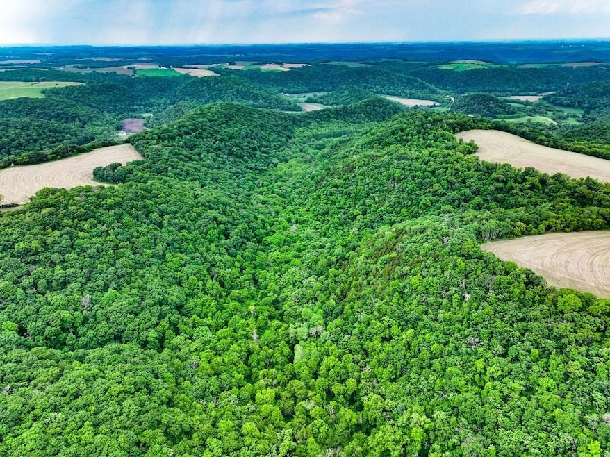 Rooster Valley Rd, Spring Grove, MN 55974 - photo 1