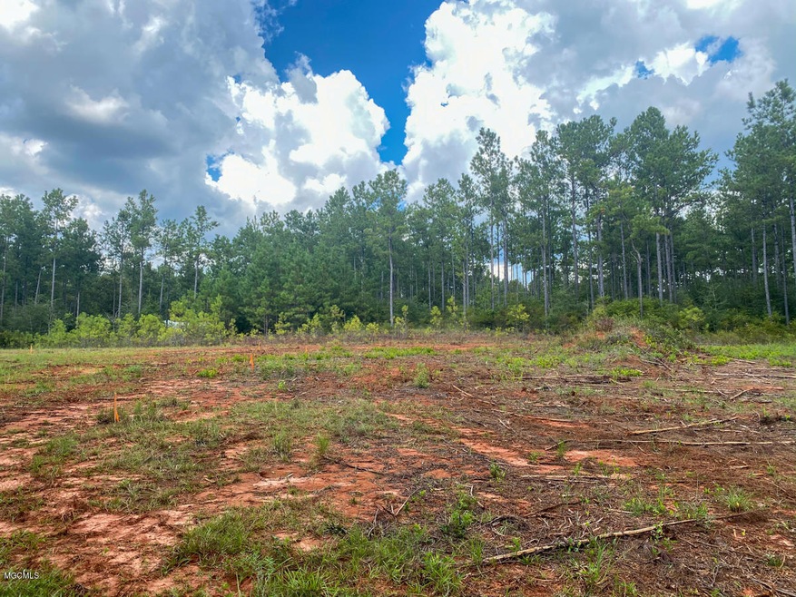 135 Cedar Ridge Rd, Lucedale, MS 39452 - photo 1